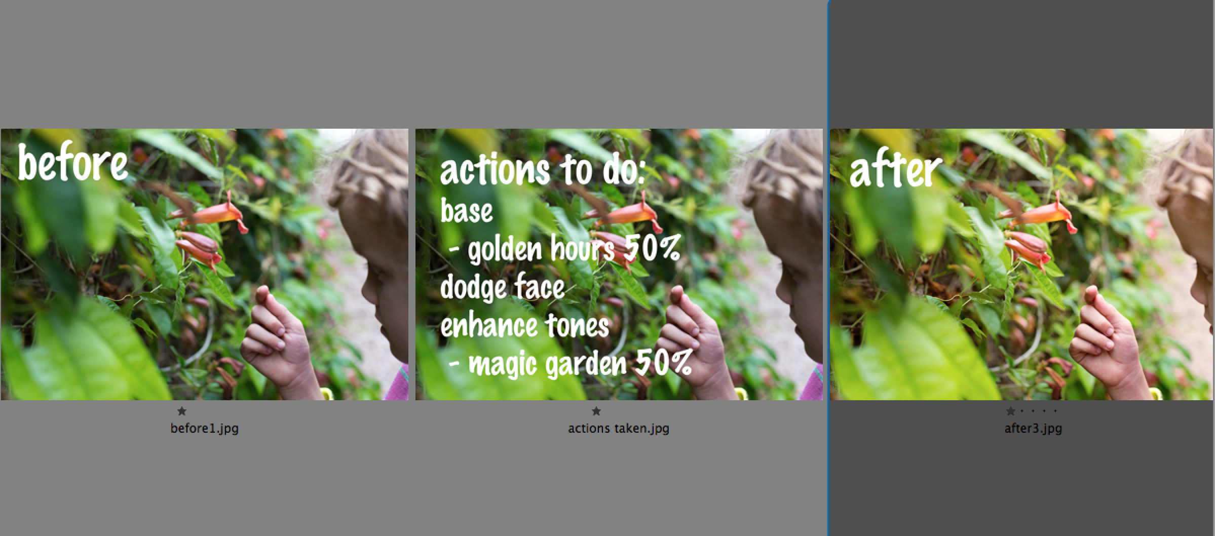 Sleek Lens – Photoshop Actions Review