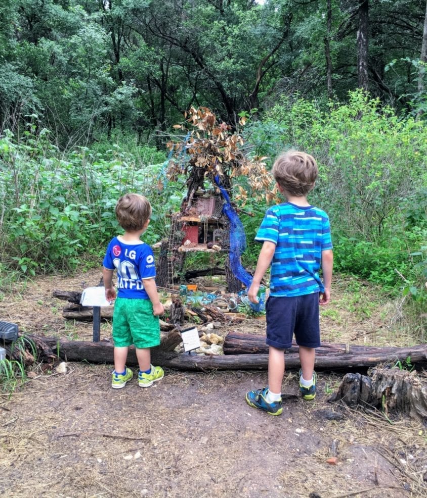 woodland faerie trail zilker botanical gardens