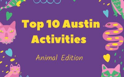 Top 10 Austin Animal Adventures – Fun Ideas for Kids