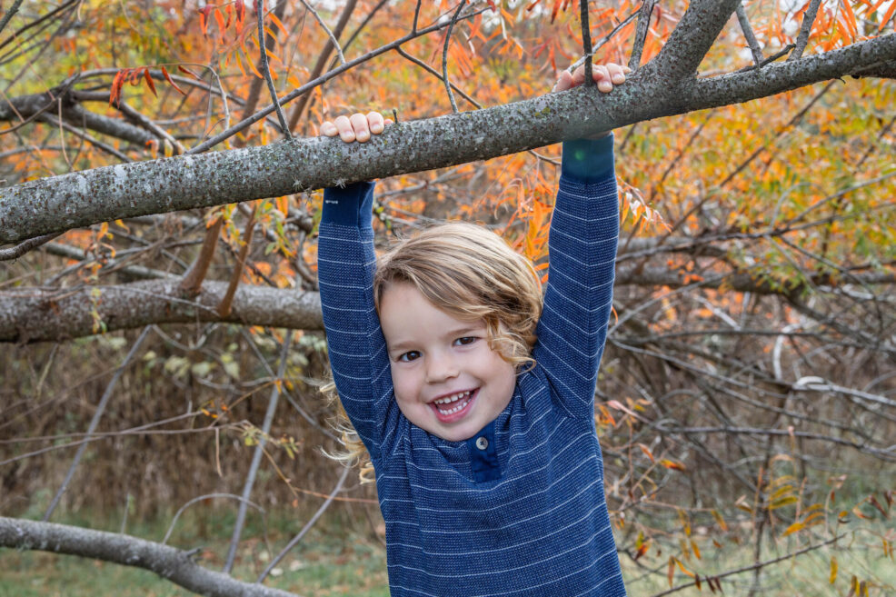 toddler hanging on a tree branch at a family photo session in austin, texas with stephanie friedman photography