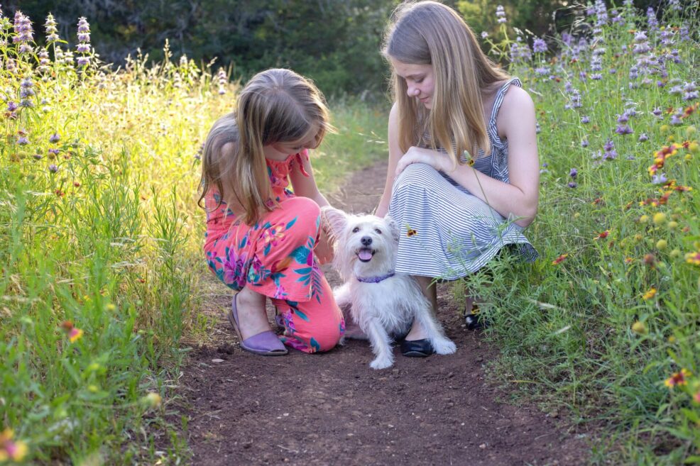 st. edwards park family photo session with pet dog